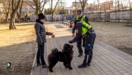 RPP reidā Rīgā pārbauda 200 suņus - 29