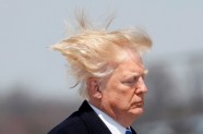 Donalda Trampa nedienas ar vēju - 7