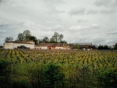 Francijas vīni - 13