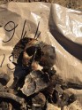 Pie Pampāļiem atrod 145 krievu karavīru mirstīgās atliekas - 15