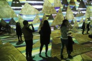 Gustava Klimta digitālā izstāde Parīzē - 5