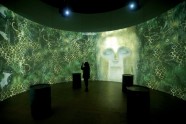 Gustava Klimta digitālā izstāde Parīzē - 12