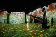 Gustava Klimta digitālā izstāde Parīzē - 22