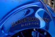 'Harley-Davidson Softail Slim S' by 'Bündnerbike' - 12