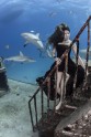 Modele zem ūdens pozē ar haizivīm