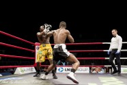 Bokss, LNK Boxing Fight Night 7 - 17