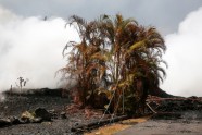 Kīlauea vulkāna lavas straume atgriezusi no ārpasaules aptuveni 40 mājas - 4