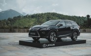 Lexus RX-L - 24