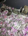 Indijā žurka bankomātā sagrauž banknotes  - 2
