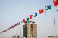 Džibutijas ekonomiskās zonas atklāšana - 13