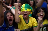 Brazilija fani - 21