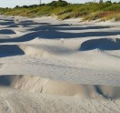Vēja radītie postījumi Liepājas pludmalē - 7