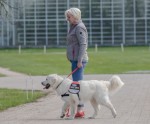 Elīna un viņas suns-asistents Korijs - 1