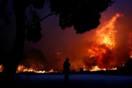 Mežu ugunsgrēki Atēnās - 29