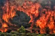 Mežu ugunsgrēki Atēnās - 54