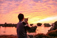 Daisuke Nagasava un ceļojošie kaķi - 9