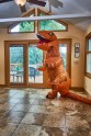 Dinozaurs pārdod mājas - 7