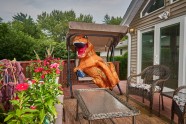 Dinozaurs pārdod mājas - 10