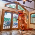 Dinozaurs pārdod mājas - 15