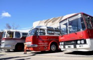 Vēsturisko autobusu parāde Rīgā - 11