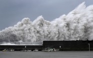Taifūns Džebi Japānā - 1