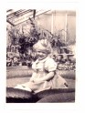 1950ie Meitene uz viktorijas lapas