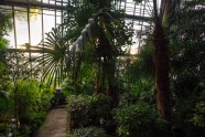 LU botāniskais dārzs, palmu māja - 3