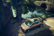 BMW Vision iNEXT - 11