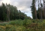 Uz sliedēm maršrutā Rīga-Skulte nokritis koks - 1