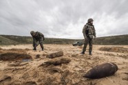 Militārajās mācībās “Detonators 2018” veic sprādzienbīstamo priekšmetu neitralizēšanu - 18