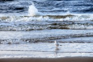 Daugavgrīvas pludmale pēc vētras - 2