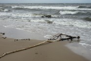 Daugavgrīvas pludmale pēc vētras - 4