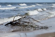 Daugavgrīvas pludmale pēc vētras - 5