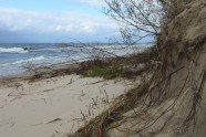 Daugavgrīvas pludmale pēc vētras - 12