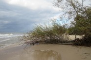 Daugavgrīvas pludmale pēc vētras - 15