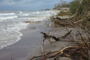 Daugavgrīvas pludmale pēc vētras - 20