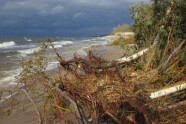 Daugavgrīvas pludmale pēc vētras - 22