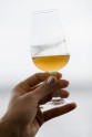 Baltijas jūras dibenā atrasts pasaulē vecākais šampanietis - 5