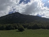 Kāpiens Monte Pollino - 14