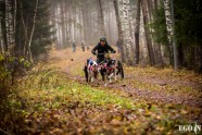 Pasaules kausa posms kamanu suņu sportā Zilajos kalnos - 4