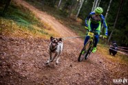 Pasaules kausa posms kamanu suņu sportā Zilajos kalnos - 25