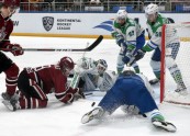 Hokejs, KHL spēle: Rīgas Dinamo - Salavat Julajev - 27