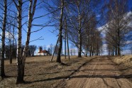 Pavasaris
