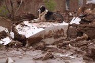 Plūdi Afganistānā - 5