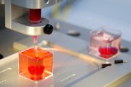Ar 3D printeri izgatavota sirds  - 9