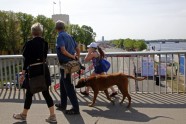Tet Rīgas maratons: bērnu skrējiens, ģimeņu skrējiens - 54