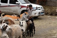Jemenā tirdzinieki gatavojas Upurēšanas svētkiem - 6