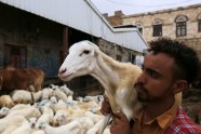 Jemenā tirdzinieki gatavojas Upurēšanas svētkiem - 13