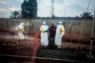 Ebolas vīruss