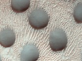 Marsa kāpas